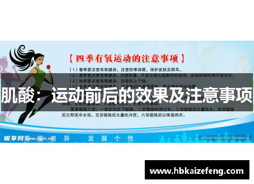 肌酸:运动前后的效果及注意事项